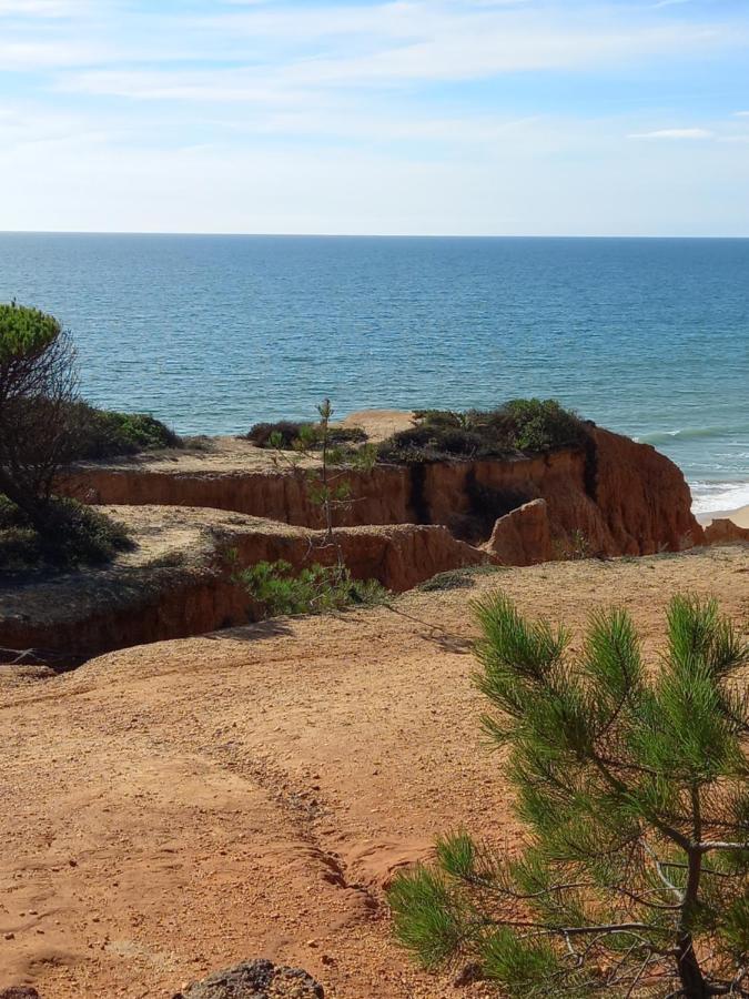 Paradise On The Beach Albufeira Exterior photo